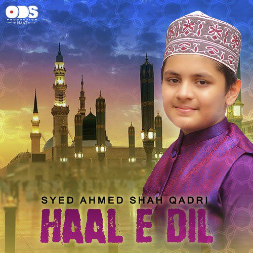 Haal E Dil by Syed Ahmed Shah Qadri - Download on PagalFree