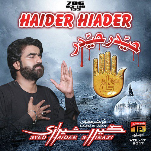 Ya Imam E Zamana by Haider Shirazi - Download on PagalFree