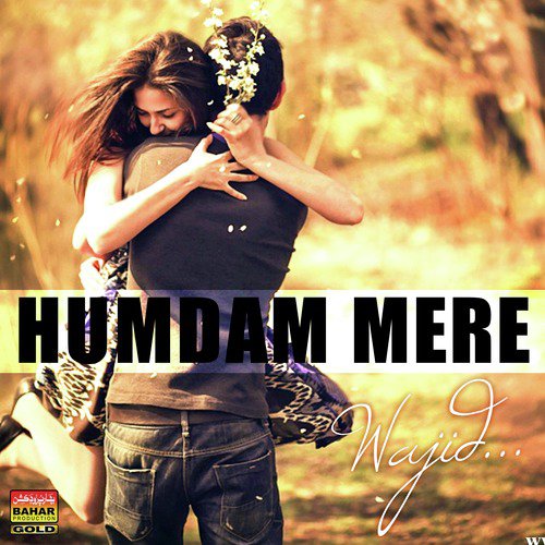 Humdam Mere by Wajid - Download on PagalFree
