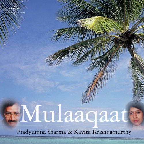 Aye Sanam Tumse Mein (Album Version) by Kavita Krishnamurthy, Pradyumna Sharma - Download on PagalFree