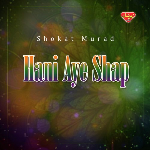 Halo Halo Ke by Shokat Murad - Download on PagalFree