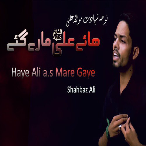Haye Ali a.s Mare Gaye by Shahbaz Ali - Download on PagalFree