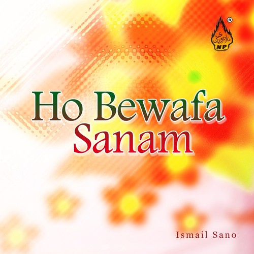 Ho Bewafa Sanam by Ismail Sano - Download on PagalFree