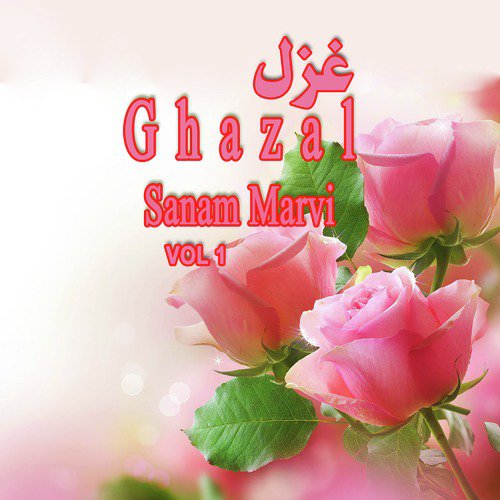 Sath Betay Howe Lamho Ko by Sanam Marvi - Download on PagalFree