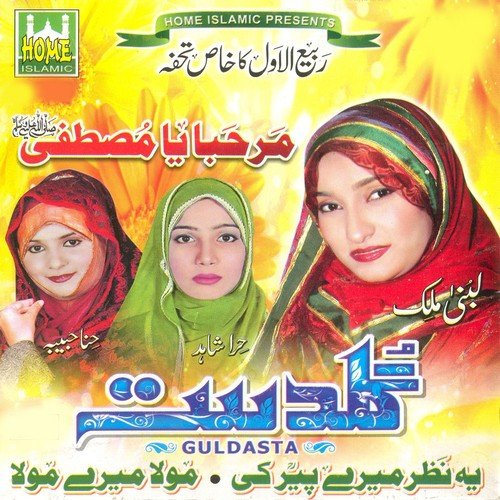 Dar Chor Kar Tumhara by Lubna Malik, Hira Shahid, Hina Habiba - Download on PagalFree