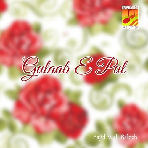 Mani Jani by Sajid Wali Baloch - Download on PagalFree