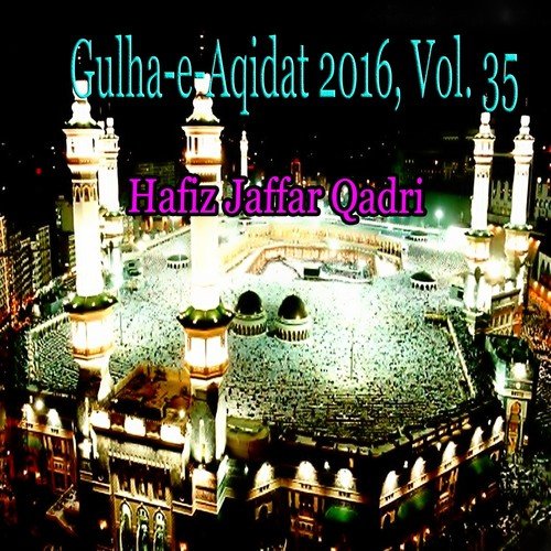 Hum Hain Wafadar-e-Nabi by Hafiz Jaffar Qadri - Download on PagalFree