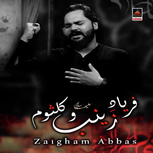 Faryaad e Zainab o Kulsoom s.a by Zaigham Abbas - Download on PagalFree