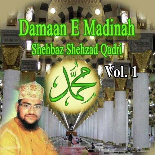 Gumbad E Khizra K Daman by Shehbaz Shehzad Qadri - Download on PagalFree