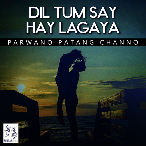 Parwah Na Kar Kehnji Suhna by Parwano Patang Channo - Download on PagalFree