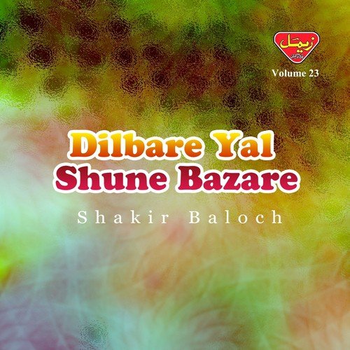 Dil Ko Jan Jaye by Shakir Baloch - Download on PagalFree