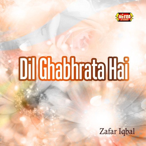 Teri Rahoon Mein by Zafar Iqbal - Download on PagalFree