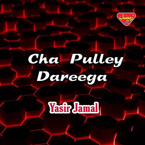 Biya Biya Ho Kumari by Yasir Jamal - Download on PagalFree