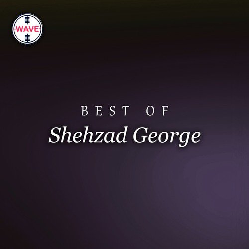 Naye Daur Se Ab Sada by Shehzad George - Download on PagalFree