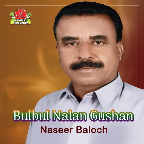 Brahnag Dilani by Naseer Baloch - Download on PagalFree
