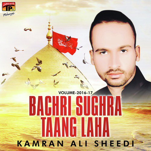 Zahra Da Chen Haan by Kamran Ali Sheedi - Download on PagalFree