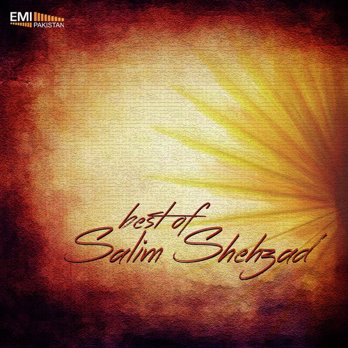 Ulti Hogai Sab Tadbeerein by Salim Shehzad - Download on PagalFree