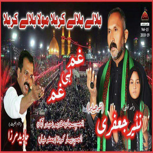 Aa Ke Kehte Hai Sitam Gar Zainab e Dilgeer by Nayyar Sabir - Download on PagalFree