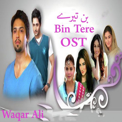 Bin Tere by Waqar Ali - Download on PagalFree