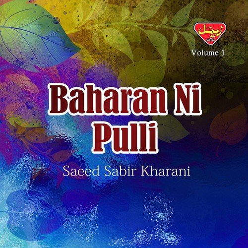 Sang Dile Doste by Saeed Sabir Kharani - Download on PagalFree