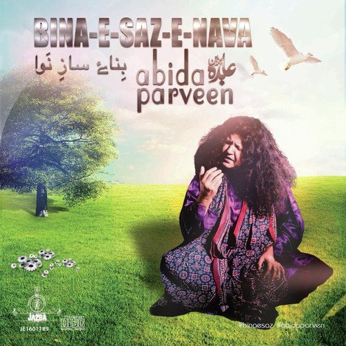 Bina e Saz e Nava by Abida Parveen - Download on PagalFree