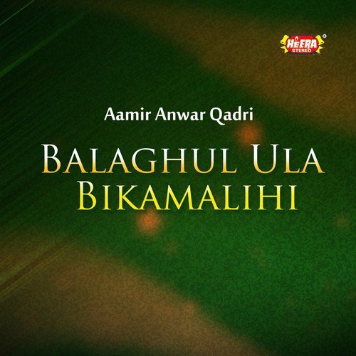 Sallu Alaihi Wa Aalihi by Aamir Anwar Qadri - Download on PagalFree