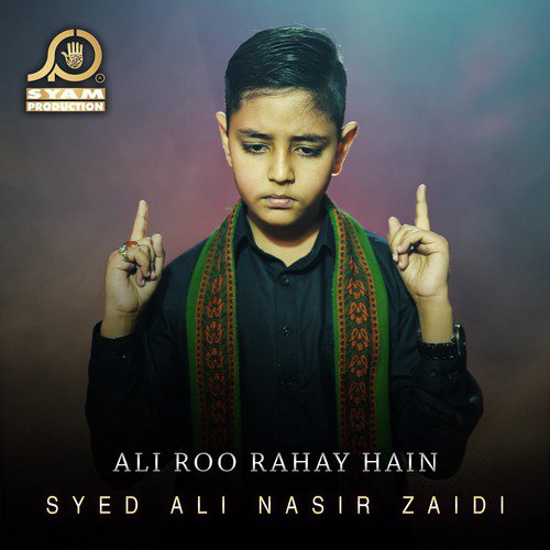 Ali Roo Rahay Hain by Syed Ali Nasir Zaidi - Download on PagalFree
