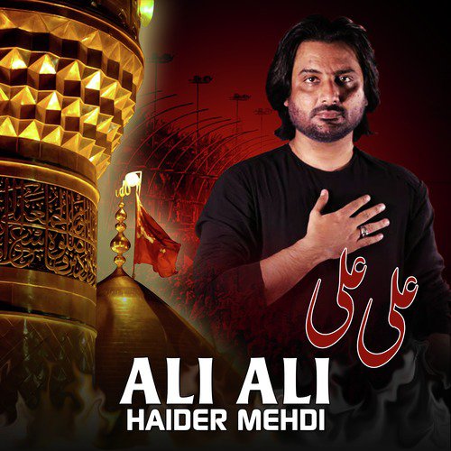 Dil Hai Pakistan by Haider Mehdi - Download on PagalFree