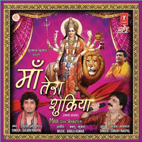 Shiv Hai Tera Naam by Various Artists - Download on PagalFree