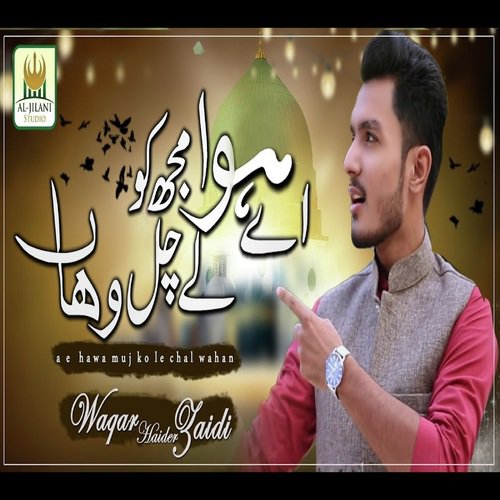 Aye Hawa Mujhko by Waqar Haider Zaidi - Download on PagalFree