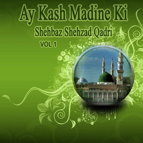 Sallam by Shehbaz Shehzad Qadri - Download on PagalFree