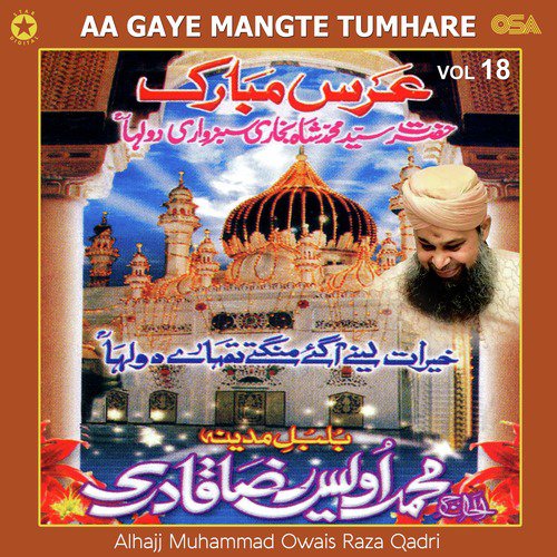 Kheraat Lene Aa Gaye by Alhajj Muhammad Owais Raza Qadri - Download on PagalFree