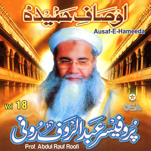 Sarkar Ke Dewane Jab Jaate Hain by Prof. Abdul Rauf Roofi - Download on PagalFree