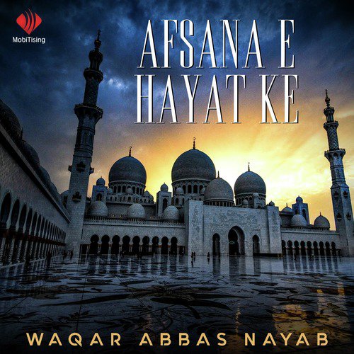 Dil Me Ho Yad Teri by Waqar Abbas Nayab - Download on PagalFree