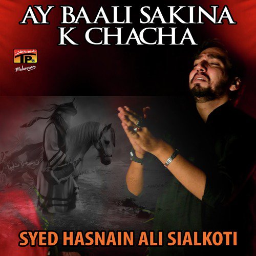 Kab Ao Ge by Syed Hasnain Ali Sialkoti - Download on PagalFree