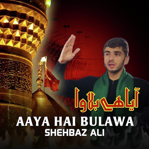 Aaya Hai Bulawa by Shehbaz Ali - Download on PagalFree