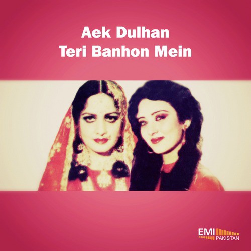 Tera Mera Mera Tera (From Aek Dulhan) by Various Artists - Download on PagalFree