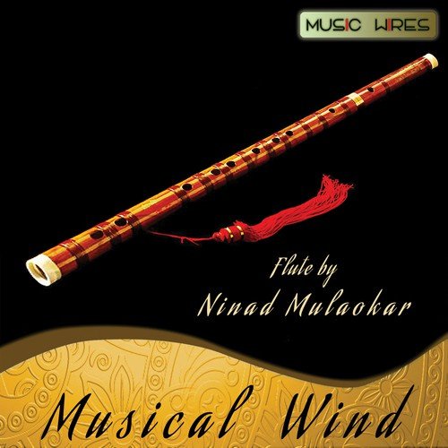 Raag Bageshree- Bandish In Taal Zaptaal  Ektaal by Ninad Mulaokar - Download on PagalFree