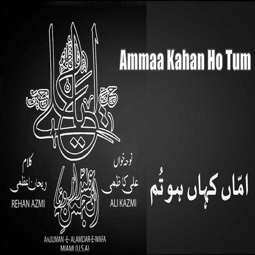 Dukh Paya Hai Baba Gham Khaya Hai Baba by Ali Kazmi - Download on PagalFree