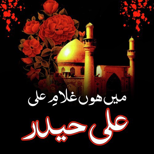 Mein Haideri Deewana by Ali Haider - Download on PagalFree