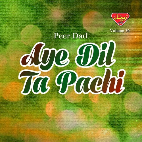 Partai Deedar by Peer Dad - Download on PagalFree