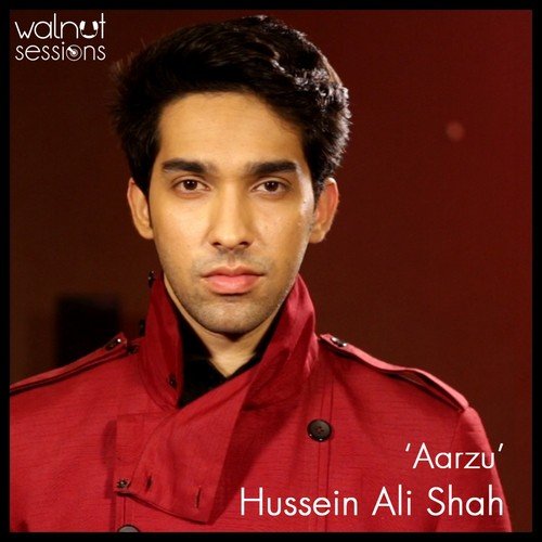 Aarzu by Hussain Ali Shah - Download on PagalFree