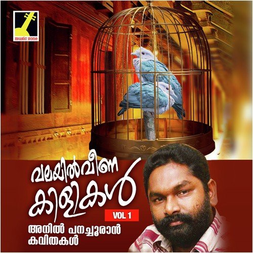 Vilkuvan Vachirikuna Pakshikal by Anil Panachooran - Download on PagalFree