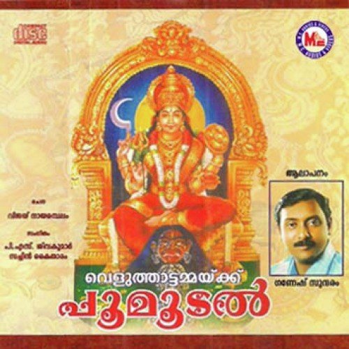 Naadam Nilakkaatha by Various Artists - Download on PagalFree