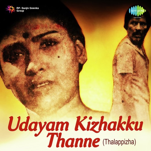 Madamilaki Thullunna by P. Madhuri - Download on PagalFree