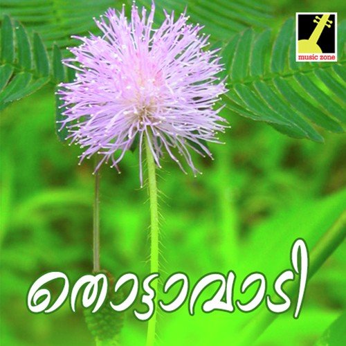 Rajarajeswari Devi by Satheesh Rajapuram - Download on PagalFree