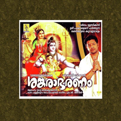 Thiruvaikathappente by Madhu Balakrishnan - Download on PagalFree
