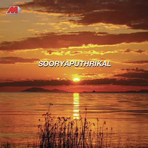 Vandhanam by V.S. Narasimhan - Download on PagalFree