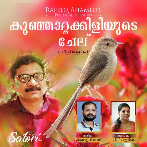 Kunjatta Kiliyude Chelu by Dhini Sunil - Download on PagalFree