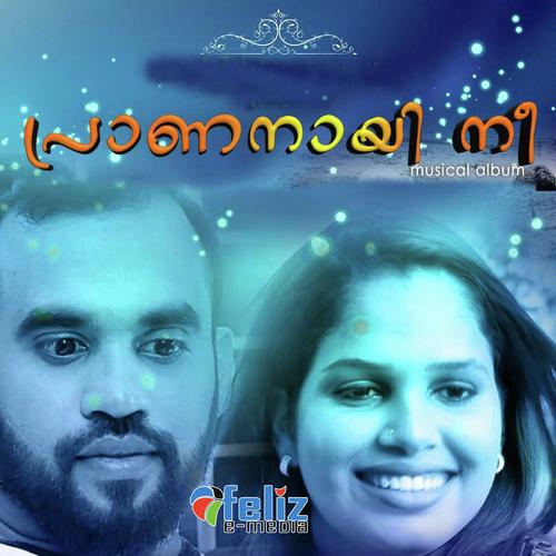 Nilaave Nee Avale by Shafeeque Koduvally, Muthu Patturumal, Shafeeque Koduvally, Sakeer Husain K.T., Ramsi, Shaju Kochuka - Download on PagalFree
